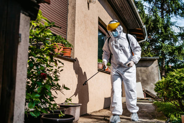 Wasp Removal Services in Mattituck, NY