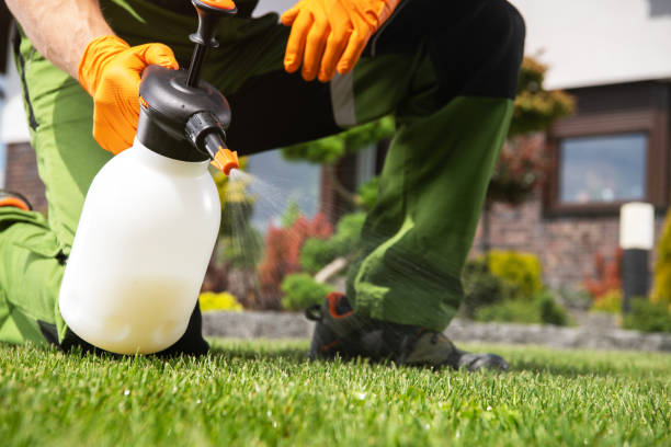 Best Residential Pest Control  in Mattituck, NY