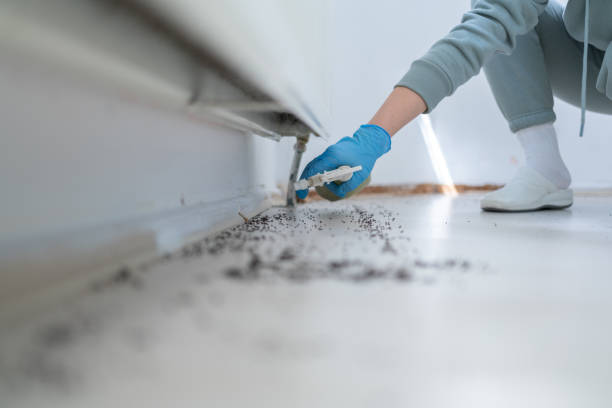 Pest Control Cost in Mattituck, NY